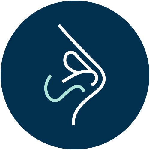 Icon: Nase (Nasennebenhöhlenchirurgie)